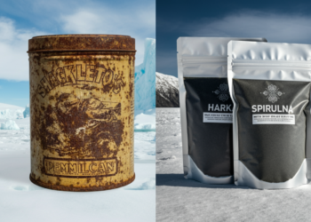 Best survival foods for high nutrition